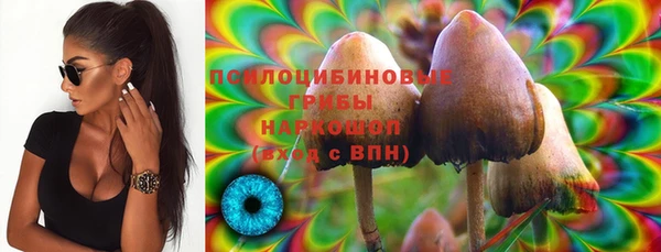 не бодяженный Алзамай