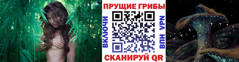 Галлюциногенные грибы мицелий  Хотьково 